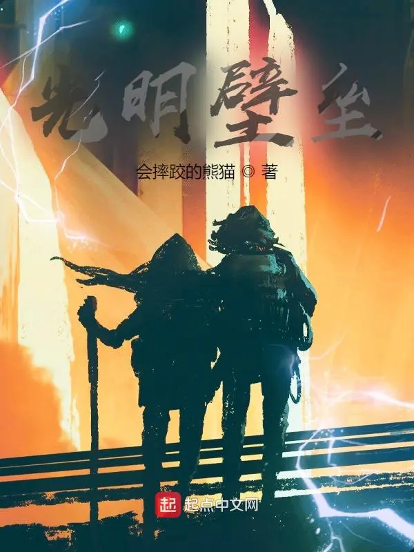 《光明壁垒》封面