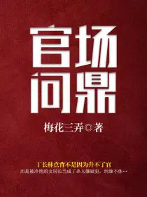 《官场问鼎》封面