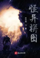 《怪异拼图》封面