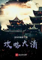《攻略大清》封面