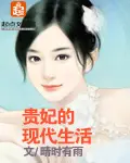 《贵妃的现代生活》封面
