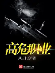 《高危职业》封面