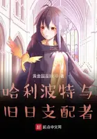 《哈利波特与旧日支配者》封面
