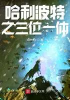 《哈利波特之三位一体》封面