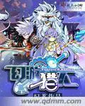 《幻游猎人》封面