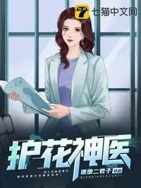 《护花神医》封面
