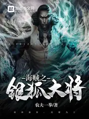 《海贼之银狐大将》封面