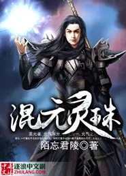 《混元灵珠》封面