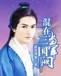 《混在三国当军阀》封面