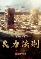 《火力法则》封面