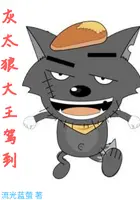 《灰太狼大王驾到》封面