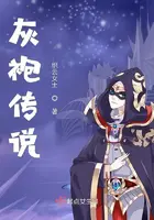 《灰袍传说》封面