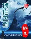 《琥珀之剑》封面