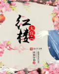 《红楼大官人》封面