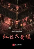 《红楼大贵族》封面