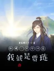 《红楼：从今以后，我就是贾琏》封面