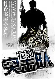 《花豹突击队》封面