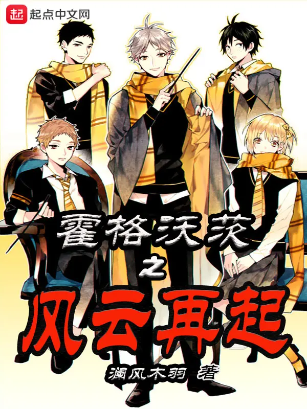 《霍格沃茨之风云再起》封面