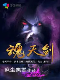 《魂天剑》封面