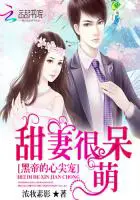 《黑帝心尖宠：甜妻很呆萌》封面