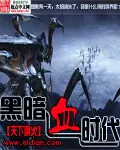 《黑暗血时代》封面
