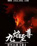 《九焰至尊》封面