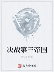 《决战第三帝国》封面