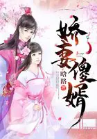 《娇妻傻婿》封面