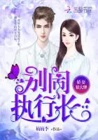 《娇妻狠大牌：别闹，执行长！》封面