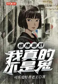 《惊悚游戏：我真的不是鬼》封面