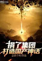 《捐了集团，打造国产神话！》封面