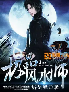 《极品风水师》封面