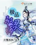 《极品驭灵师》封面