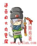 《进击的大内密探》封面
