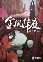 《金凤华庭》封面