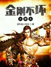 《金刚不坏大寨主》封面