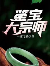 《鉴宝大宗师》封面