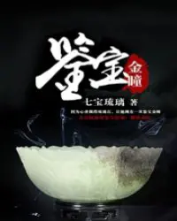 《鉴宝金瞳》封面