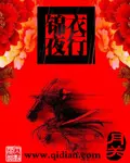 《锦衣夜行》封面