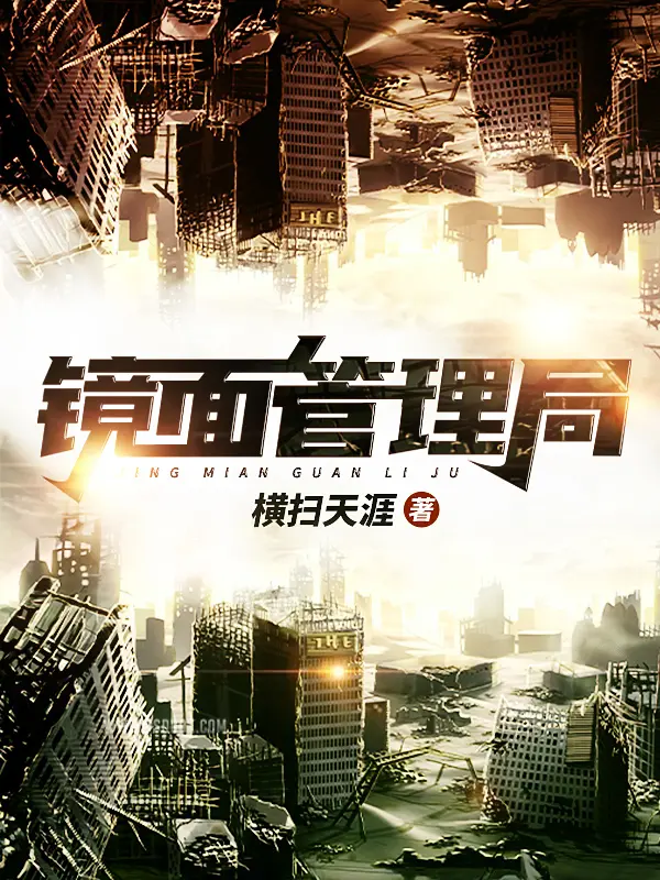 《镜面管理局》封面
