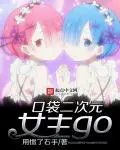 《口袋二次元女主go》封面