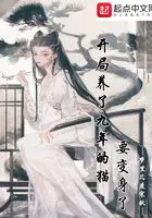 《开局养了九年的猫要变身了》封面