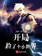 《开局捡了个小世界》封面