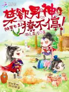 《快穿女主：禁欲男神撩不停！》封面