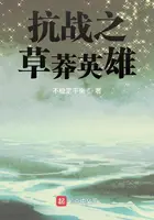 《抗战之草莽英雄》封面