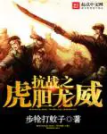 《抗战之虎胆龙威》封面
