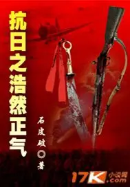 《抗日之浩然正气》封面