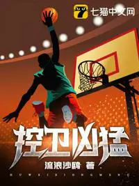 《控卫凶猛》封面