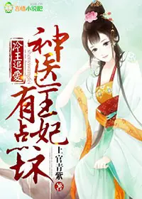 《冷王追爱，神医王妃有点坏》封面