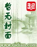 《来自瓦歌世界的琥珀》封面